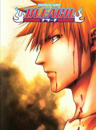 Bleach - Partie 2 (138-265)