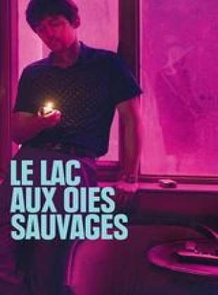 Regarder Le Lac aux Oies Sauvages en streaming complet