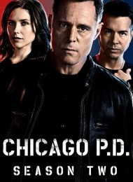 Regarder Chicago PD - Saison 2 en streaming complet