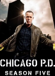 Regarder Chicago PD - Saison 5 en streaming complet