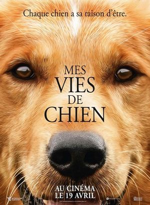 Regarder Mes vies de chien en streaming complet