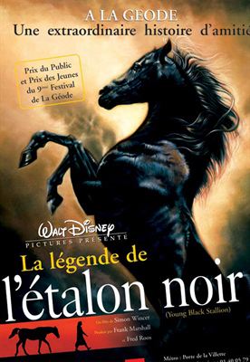 Regarder La Légende de l'étalon noir en streaming complet