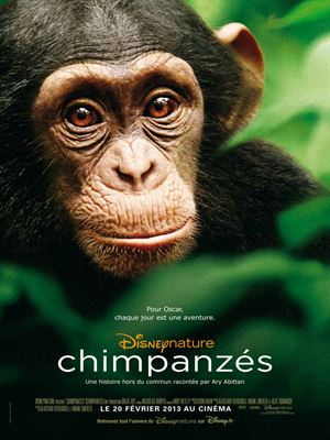 Regarder Chimpanzés en streaming complet