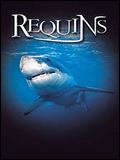 Regarder Le Monde des requins - Requins 3D en streaming complet