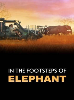 Regarder Sur La Route Des éléphants en streaming complet