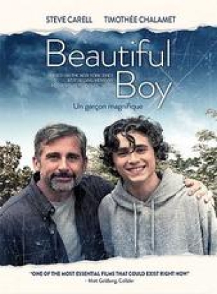 Regarder My beautiful boy en streaming complet